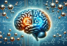 Il doppio ruolo dello zinco e del rame nella neurodegenerazione: un’analisi approfondita delle loro implicazioni fisiologiche e patofisiologiche