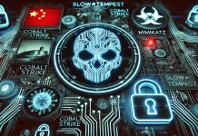 From Cobalt Strike to Mimikatz: A Deep Dive into the SLOW#TEMPEST Campaign Targeting Chinese Users