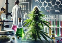 Cannabaceae: A Comprehensive Analysis of the Hemp Family, Its Phytochemical Constituents and Pharmacological Significance