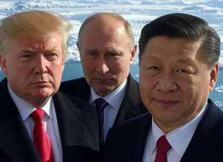The Geopolitical and Economic Dynamics of Arctic Cooperation: Strategic Interests, Resource Exploration and Emerging Trade Routes