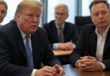 The Rise of the Alternative for Germany (AfD) in the 2025 Snap Election: A Comprehensive Analysis of Electoral Success, East-West Polarization, National Identity Dynamics and the Influence of Donald Trump and Elon Musk on Alice Weidel’s Chancellor Prospects