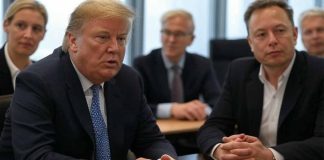 The Rise of the Alternative for Germany (AfD) in the 2025 Snap Election: A Comprehensive Analysis of Electoral Success, East-West Polarization, National Identity Dynamics and the Influence of Donald Trump and Elon Musk on Alice Weidel’s Chancellor Prospects