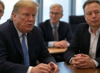 The Rise of the Alternative for Germany (AfD) in the 2025 Snap Election: A Comprehensive Analysis of Electoral Success, East-West Polarization, National Identity Dynamics and the Influence of Donald Trump and Elon Musk on Alice Weidel’s Chancellor Prospects