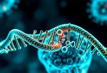 Epigenetic Reprogramming in the Upper Airway: DNA Methylation and Single-Cell Transcriptomic Insights into SARS-CoV-2 Infection and Persistent Post-COVID-19 Respiratory Sequelae