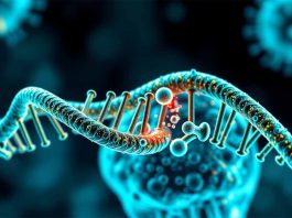 Epigenetic Reprogramming in the Upper Airway: DNA Methylation and Single-Cell Transcriptomic Insights into SARS-CoV-2 Infection and Persistent Post-COVID-19 Respiratory Sequelae