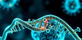 Epigenetic Reprogramming in the Upper Airway: DNA Methylation and Single-Cell Transcriptomic Insights into SARS-CoV-2 Infection and Persistent Post-COVID-19 Respiratory Sequelae