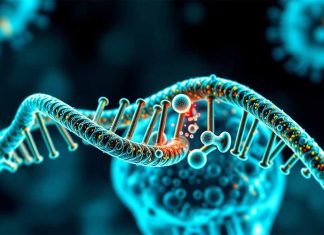 Epigenetic Reprogramming in the Upper Airway: DNA Methylation and Single-Cell Transcriptomic Insights into SARS-CoV-2 Infection and Persistent Post-COVID-19 Respiratory Sequelae