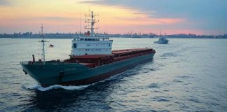 The Black Sea Grain Initiative: Geopolitical Leverage, Enforcement Challenges and Global Food Security Implications in the Russia-Ukraine Conflict