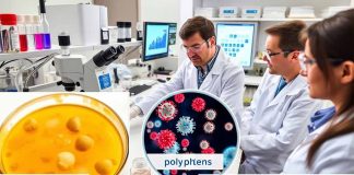 Unraveling the Antiviral Potential of Polyphenol-Rich Sugarcane Extract: A Comprehensive Analysis of Its Mechanism Against Respiratory Viruses in a Global Health Context