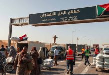 REPORT ESCLUSIVO – Il ruolo di guardiano dell’Egitto: un’analisi dell’impatto del valico di Rafah sulla crisi umanitaria di Gaza nel 2025