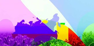 REPORT ESCLUSIVO – Espansione strategica delle esportazioni di fertilizzanti della Russia verso India, Africa e Brasile