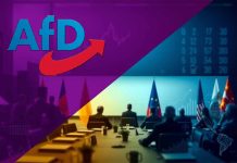 The Alternative for Germany (AfD) – the Politics of Extremism: Balancing Democratic Norms, Economic Realities and National Identity in a Polarized Germany