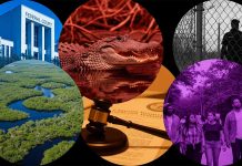 Federal Court Halts Expansion of ‘Alligator Alcatraz’: Environmental Law, Immigration Enforcement and Everglades Ecosystem Impacts