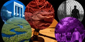 Federal Court Halts Expansion of ‘Alligator Alcatraz’: Environmental Law, Immigration Enforcement and Everglades Ecosystem Impacts
