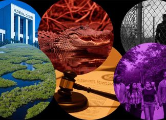 Federal Court Halts Expansion of ‘Alligator Alcatraz’: Environmental Law, Immigration Enforcement and Everglades Ecosystem Impacts