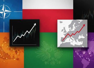 Poland’s Strategic Choice in 2025: Regional Anchor in NATO or Emerging Global Actor?