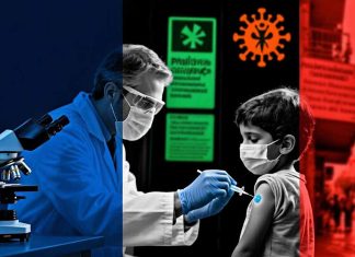 Poliovirus Resurgence in Israel: Genomic Surveillance, Immunization Gaps and Institutional Response to Environmental WPV1 Detection in 2025