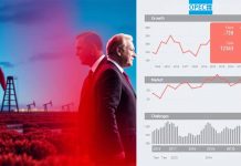 The Geopolitics of OPEC+ Oil Production Adjustments: Balancing Market Stability and National Interests in 2025