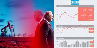 The Geopolitics of OPEC+ Oil Production Adjustments: Balancing Market Stability and National Interests in 2025