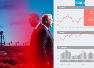 The Geopolitics of OPEC+ Oil Production Adjustments: Balancing Market Stability and National Interests in 2025