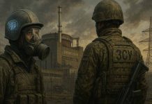 From Cold Shutdown to Contested Generation: Power, Safety and Sovereignty at Zaporizhzhia