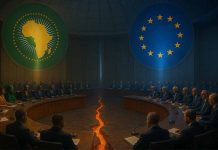 The Seventh AU-EU Summit in Luanda: Reaffirming Partnership in a Fragmented Multilateral Order