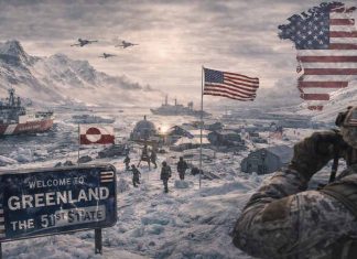 THE ARCTIC SOVEREIGNTY CRISIS AND THE FEASIBILITY OF THE 51ST STATE HYPOTHESIS