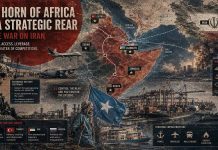 The Horn of Africa as a Strategic Rear in the War on Iran