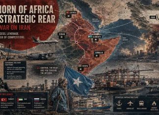 The Horn of Africa as a Strategic Rear in the War on Iran