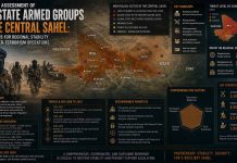 Strategic Assessment of Non-State Armed Groups in the Central Sahel: Implications for Regional Stability and Counter-Terrorism Operations