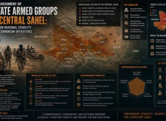 Strategic Assessment of Non-State Armed Groups in the Central Sahel: Implications for Regional Stability and Counter-Terrorism Operations