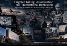 Targeted Killing, Assassination and Transnational Repression: Separating State Practice from Strategic Narrative